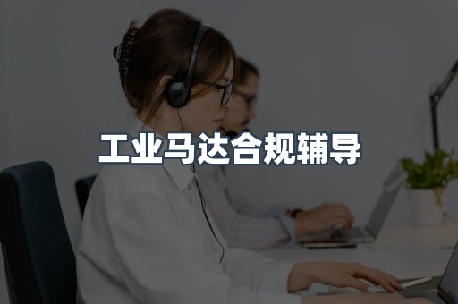 工业马达合规辅导