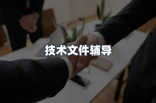 技术文件辅导